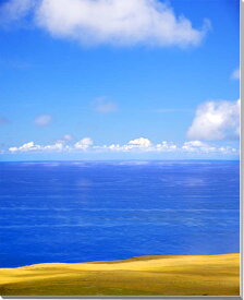 風景写真パネル 世界遺産 イースター島 大きく渦巻く青い海と黄色の草原 アートパネル インテリア パネル 写真 ウォールデコ グラフィック 額要らず 模様替え 雰囲気作り 風水 旅の思い出 リビング オフィス 玄関 MID-69-F25