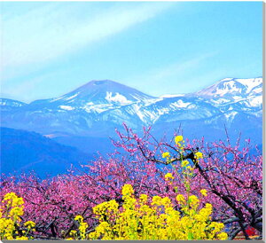 iʐ^pl  ԓƍ؂̉ Ȃ̐Ⴄ 02 ʉ摜 厩R  ₵  A[gpl CeA pl ʐ^ Ǐ Ǌ| zv炸 ͗lւ ͋C  