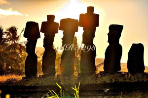 iʐ^pl EY C[X^[ AtEiEiE AC CeA A[gpl pl ʐ^ EH[fR OtBbN fBXvC zv炸 ͗lւ ͋C  ̎v