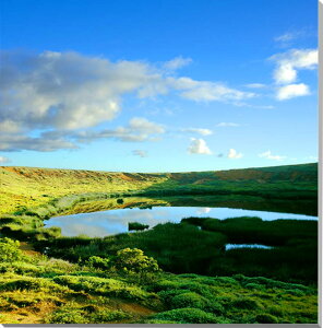 iʐ^pl EY C[X^[ mEJE Ό Y  R A[gpl CeA fBXvC EH[fR pl ʐ^ ͗lւ ͋C ̎vo  ItBX 