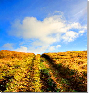 世界遺産イースター島のあぜ道 風景写真パネル インテリア アート 壁掛け 45.5×45.5cm EST-13-S8【楽ギフ_包装】【楽ギフ_のし宛書】【楽ギフ_名入れ】