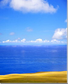 風景写真パネル 世界遺産 イースター島 草原と青い海 インテリア アートパネル ウォールデコ グラフィック パネル 写真 壁飾り 壁掛け 額要らず 模様替え 雰囲気作り 旅の思い出 風水 オフィス リビング ダイニング 玄関 MOAI-09-F25