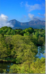 iʐ^pl  ֒ Z̒ CeA pl ʐ^ A[gpl fBXvC EH[fR Ǐ Ǌ| zv炸 ͗lւ ͋C   rO ItBX Vz