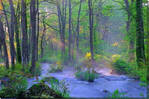 iʐ^pl  ֒ ̒ ʉ摜 V Xї  R pl ʐ^ A[gpl EH[fR CeA v[g Mtg i ԗ  j  Vz 