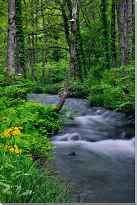 iʐ^pl  ֒ ɍ炭TIO} {^jJ CeA A[gpl OtBbN A[g EH[fR pl ʐ^ Ǐ Ǌ| zv炸 ͗lւ ͋C 