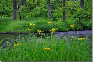 iʐ^pl  c  TIO} {^jJ CeA A[gpl OtBbN A[g EH[fR Ǐ Ǌ| zv炸 ͗lւ ͋C   rO 