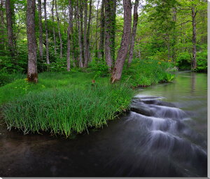 iʐ^pl  c ɍ炭TIO}ƃuf} {^jJ CeA A[gpl OtBbN A[g EH[fR v[g Mtg  j  Vz a