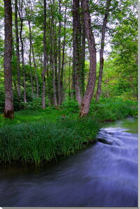 iʐ^pl  ֒ V΂̒ 厩R  ₵  EH[fR A[gpl fBXvC CeA v[g Mtg j j Vzj zj 