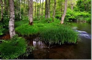 iʐ^pl  c ɍ炭TIO}ƃuf} {^jJ CeA A[gpl OtBbN A[g EH[fR Ǐ Ǌ| zv炸 ͗lւ ͋C 