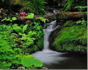 iʐ^pl  ֒ Lk N\E ʉ摜 ֑ {^jJ EH[fR A[gpl OtBbNA[g CeA Ǐ Ǌ| zv炸 ͋C tH[