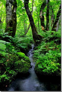 iʐ^pl  ֒ Lk CeA pl ʐ^ i R  Xї v[g Mtg j  Vz z a w  l Nj ̓ ̓ LO 