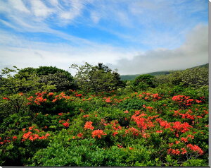 iʐ^pl  B  i) QccW CeA A[gpl pl ʐ^ Ǐ Ǌ| zv炸 ͗lւ ͋C  rO ItBX ̎vo 