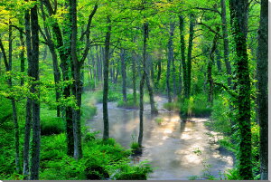 iʐ^pl  ֒ ɉf钷 CeA fBXvC OtBbN A[gpl pl ʐ^ v[g Mtg i ԗ j  Vz z a LO