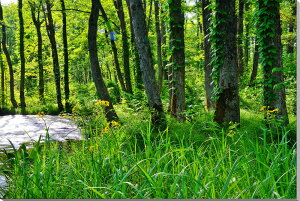 iʐ^pl  ֒  CeA A[gpl pl ʐ^ EH[fR ͗lւ ͋C Ǌ| Ǐ zv炸   rO ItBX fuk-284-M20