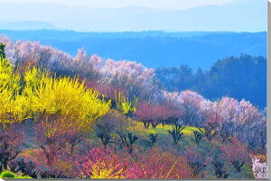 iʐ^pl  c Ԗؔ {^jJ ʐ^ t  iF pl CeA Ǐ Ǌ| zv炸 ͗lւ ͋C tH[ Vz j Mtg v[g fuk-305-M30