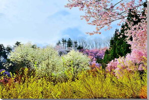 iʐ^pl  c Ԗؔ  ME N Lof} CeA A[gpl {^jJ  IV ʐ^ t iF pl Ǐ Ǌ| zv炸 ͗lւ ͋C 