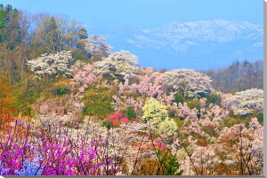 iʐ^pl   ԌR A[gpl ʐ^ pl t  ԓ ؘ@ ȎR CeA Ǌ| Ǐ ͗lւ ͋C  Vz tH[  rO ItBX r