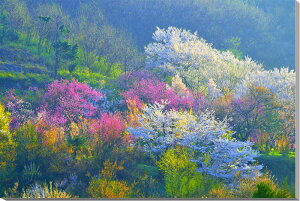 iʐ^pl   ԌR {^jJ ₵ IV CeA pl ʐ^  ԓ y t iF v[g Mtg j  Vz a w  l LO N