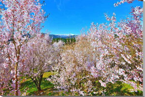 iʐ^pl  c ։BǘÂ   {^jJ ʐ^ t iF pl CeA A[gpl Ǐ Ǌ| zv炸 ͗lւ ͋C tH[ V