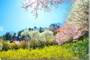 iʐ^pl  _̓O  A[gpl CeA pl t  ʐ^ v[g Mtg i ԗ j  Vz z a LO Ǌ| Ǐ zv炸 ͗lւ 