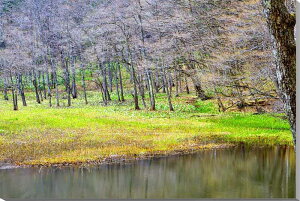 iʐ^pl  y mc iɂʂ܁j m {^jJ ~YoVE A[gpl CeA pl ʐ^ Ǌ| Ǐ ͗lւ ͋C  ̎vo v[g Mt