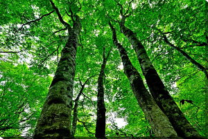 iʐ^pl  y uibqHƑz 05 ʉ摜 {^jJ CeA pl ʐ^ A[gpl OtBbN Ǌ| Ǐ ͗lւ ͋C  rO _Cj