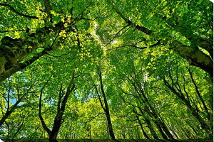 iʐ^|X^[  y uibqH ʉ摜 {^jJ OtBbN A[g EH[fR ₵ IV _ CeA Ǌ| Ǐ ͗lւ ͋C  r