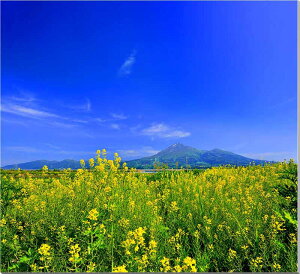 iʐ^pl  ؂̉ԂƔ֒R {^jJ v[g Mtg i ԗ j  Vz z a LO Nj OtBbN EH[A[g CeA IV ͗l