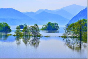 iʐ^pl  ֒ V΂̏H A[gpl CeA pl ʐ^ Ǐ Ǌ| zv炸 ͗lւ ͋C   rO ItBX r[ v[g Mtg 