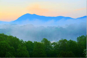 iʐ^pl  ֒ ΂̒ A[gpl OtBbN EH[A[g CeA Ǌ| Ǐ zv炸 ͗lւ ͋C  rO _CjO ItBX  fuk-