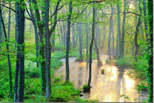 iʐ^pl  c Ɍ钷Ɛ IVh 04 ʉ摜 A[gpl pl ʐ^ EH[fR CeA ͗lւ ͋C rO ItBX v[g Mt