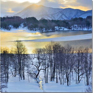 iʐ^pl  ֒ ̏ ʉ摜 A[gpl OtBbN EH[A[g CeA Ǌ| Ǐ zv炸 ͗lւ ͋C  rO _CjO 