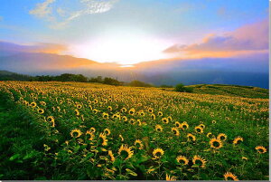 iʐ^pl  쑽 Omq Ђ܂ 󂯂 ԂO~ {^jJ  q}  ₵  IV _ CeA pl ʐ^ v[g Mtg 