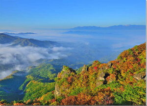 iʐ^pl  ɒBs RƉ_C̔ޕ̌ȈB ʉ摜 CeA A[gpl Ǐ Ǌ| zv炸 ͗lւ ͋C   rO ItBX v[g