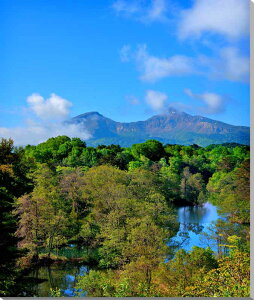 iʐ^pl  ֒  A[gpl fBXvC EH[fR CeA Ǐ Ǌ| zv炸 ͗lւ ͋C   rO ItBX v[g Mtg j