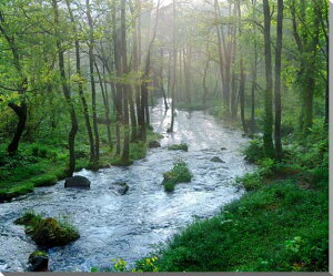 iʐ^pl  ֒ ̒ A[gpl CeA pl ʐ^ EH[fR ͗lւ ͋C Ǐ Ǌ| zv炸  rO ItBX  v[g Mt