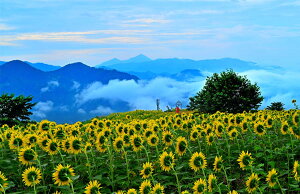 iʐ^pl  쑽 Omq K̏ {^jJ A[gpl OtBbNA[g EH[fR ₵  _ CeA Ǐ Ǌ| zv炸 ͗lւ ͋C