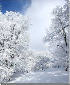 iʐ^pl  ֎R 2 (L) v[g Mtg i ԗ j  Vz z a LO Nj EH[fR A[gpl OtBbN CeA  Ǐ Ǌ| H