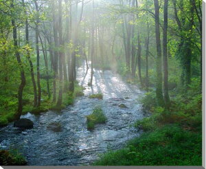 iʐ^pl  ֒ ̒ V Xї  R CeA pl ʐ^ A[gpl EH[fR v[g Mtg i ԗ  j  Vz z a