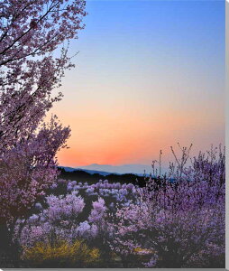 iʐ^pl  c Ԗ̗ؔ[Ă  {^jJ ʐ^ t   iF pl CeA Ǐ Ǌ| zv炸 ͗lւ ͋C  ̎vo tH[ Vz rO