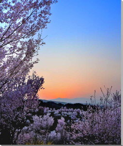 iʐ^pl  c Ԗ̗ؔ[Ă  {^jJ ʐ^ t   iF pl A[gpl CeA v[g Mtg i ԗ j  Vz z a LO 