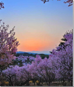 iʐ^pl  c Ԗ̗ؔ[Ă  {^jJ ʐ^ t   iF pl A[gpl CeA v[g Mtg i ԗ j  Vz z a LO 