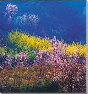 風景写真パネル 福島 桃源郷 花見山公園 ボタニカル 癒やし オシャレ インテリア パネル 写真 桜 さくら 春 壁掛け 壁飾り 模様替え 雰囲気作り 風水 新築 引っ越し リビング ダイニング オフ