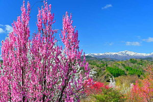 iʐ^pl  qR ԓƈBǎR ʉ摜 A[gpl CeA ʐ^ t  ԓ iF {^jJ pl Ǌ| Ǐ ͗lւ ͋C rO _CjO