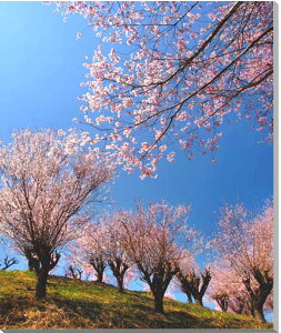 iʐ^pl  c Ԗؔ  {^jJ CeA OtBbN A[g EH[fR ₵ IV _ Ǐ Ǌ| zv炸 ͗lւ ͋C  rO ItB