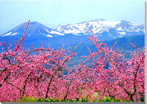 iʐ^pl  c Ԗؔ ԓ ʉ摜 A[gpl CeA EH[fR {^jJ pl ʐ^ t ͂Ȃ iF Ǐ Ǌ| zv炸 ͗lւ ͋C  