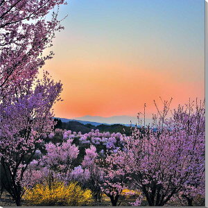 iʐ^pl  c Ԗؔ Ɨ[ 01 A[gpl CeA {^jJ ʐ^ t   pl v[g Mtg i ԗ j  Vz a w  l LO