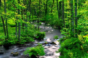 iʐ^pl  ֒ Ă̑̒ CeA pl ʐ^ i R  Xї A[gpl EH[A[g Ǌ| Ǐ ͗lւ ͋C  rO ItBX 