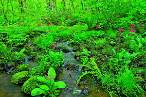 iʐ^pl  ֒ Lȏ 05 CeA ʐ^ pl v[g Mtg j j Vzj zj aj LO ̎vo fuk-499-M30