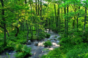 iʐ^|X^[  ֒ Ă̒ A[g|X^[ CeA  ₵ V osp-104